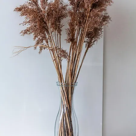 Sea Whisper Butas